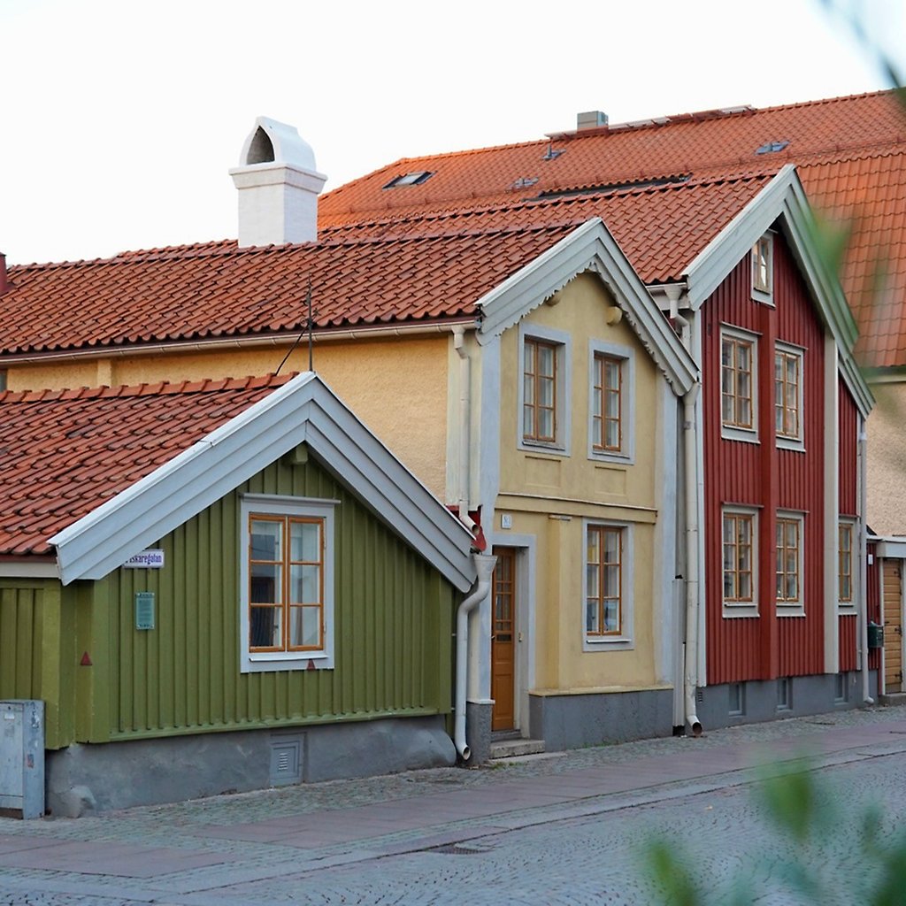 Fyra personer står och pratar framför rådhuset.